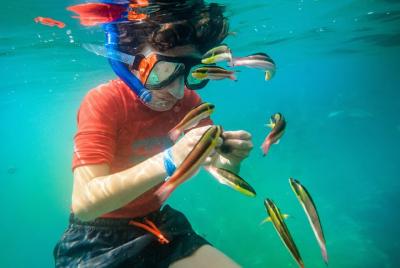 Shore Excursion Premium Family Snorkeling Experience Shore Excursion Premium Family Snorkeling Experience