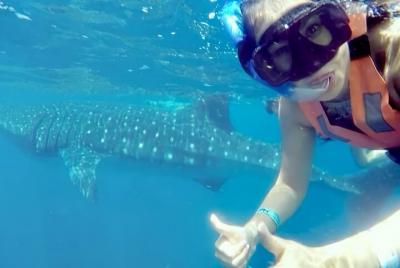 Full-Day Whale Shark Snorkeling Adventure in Isla Mujeres