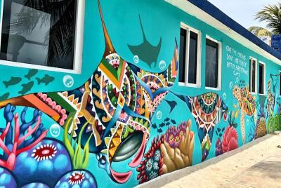 Street Art of Isla Mujeres Tour