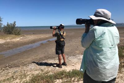 4-Hour Birdwatching Activity in La Paz  4-Hour Birdwatching Activity in La Paz