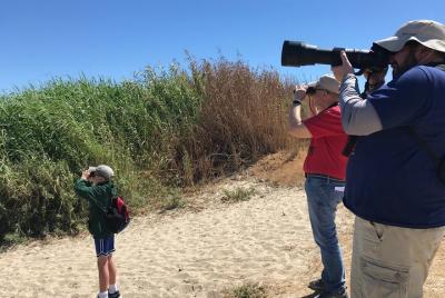 Half Day Guided Walking Tour in San Jose Estuary Half Day Guided Walking Tour in San Jose Estuary