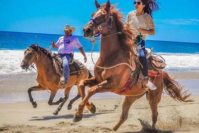Horseback Riding & ATV Combo! Mountain Trails & Beautiful Beaches Horseback Riding & ATV Combo! Mountain Trails & Beautiful Beaches