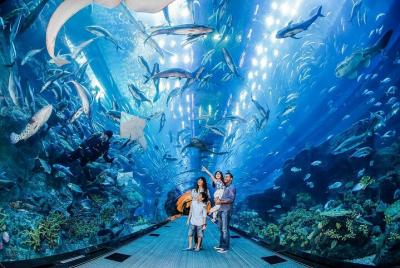 Mall Aquarium and Underwater Zoo Mall Aquarium and Underwater Zoo