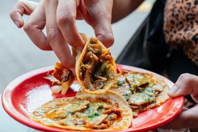 The 10 Tastings of Mexico With Locals: Private Food Tour  The 10 Tastings of Mexico With Locals: Private Food Tour