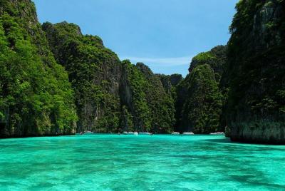 Maya Bay, Monkey Bay, Bamboo and Phi Phi Island Snorkeling Tour f