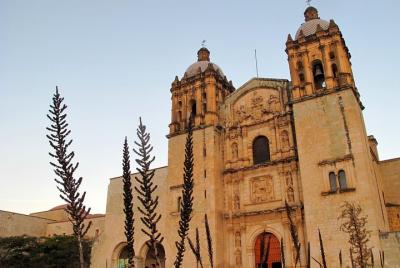 Oaxaca Private City Art Tour