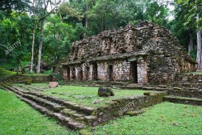 From Palenque to Bonampak - Yaxchilan Selva 1 day From Palenque to Bonampak - Yaxchilan Selva 1 day