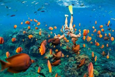 Amazing SNORKEL Adventure in PUERTO MORELOS from Cancun, Mexico Amazing SNORKEL Adventure in PUERTO MORELOS from Cancun, Mexico