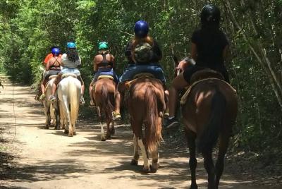 Horseback, ATV´s, Ziplines, Cenote, Hanging bridge Lunch and Roun