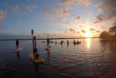 Stand Up Paddleboarding (SUP) - Tour Stand Up Paddleboarding (SUP) - Tour