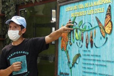 Butterfly Sanctuary Guided Tour in Puerto Vallarta Butterfly Sanctuary Guided Tour in Puerto Vallarta