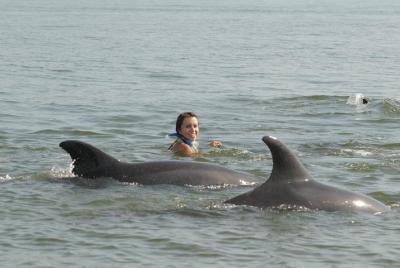 Swimming with Free Wild Dolphins in Puerto Vallarta Swimming with Free Wild Dolphins in Puerto Vallarta