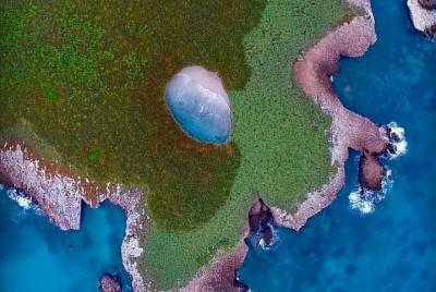 Catamaran Tour to the Marietas Islands and Nopalera Beach Catamaran Tour to the Marietas Islands and Nopalera Beach