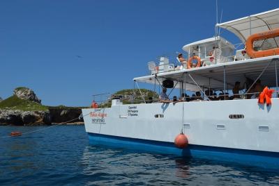 Islas Marietas - Incredible Tour Catamaran