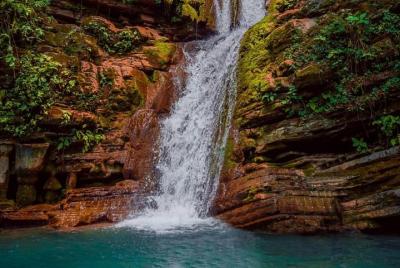 Surreal Garden with VIP Tickets + Huasteca Experience Guide Surreal Garden with VIP Tickets + Huasteca Experience Guide