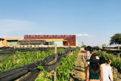 Sommelier Workshop For A Day at Tres Raíces Sommelier Workshop For A Day at Tres Raíces