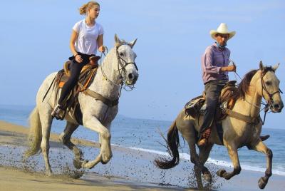 Horseback Riding in Sayulita Through Jungle Trails to the Beach Horseback Riding in Sayulita Through Jungle Trails to the Beach