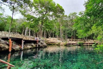 Visit 4 Cenotes at Casa Tortuga