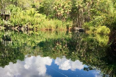 Cenote, jungle, bike & lunch