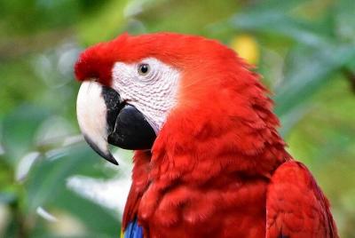 Half Day Tour Archaeological Zone Palenque and Aluxes Half Day Tour Archaeological Zone Palenque and Aluxes