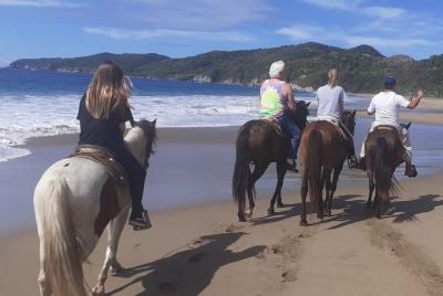 Horseback Riding in Ixtapa with Hotel Pickup Horseback Riding in Ixtapa with Hotel Pickup