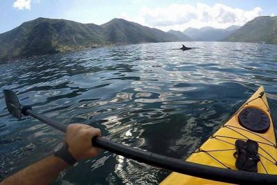 Kayak active tour Kayak active tour