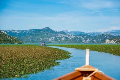 Skadar Lake: Half-day Cruise Tour - the River of Crnojević Skadar Lake: Half-day Cruise Tour - the River of Crnojević