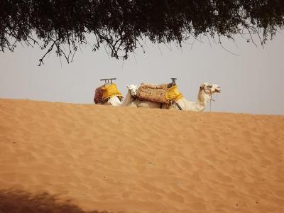 Massa 4x4 & small dunes day trip from Agadir Massa 4x4 & small dunes day trip from Agadir