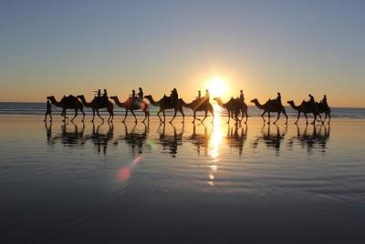 Guided Agadir Sunset Camel Ride and Dinner Guided Agadir Sunset Camel Ride and Dinner