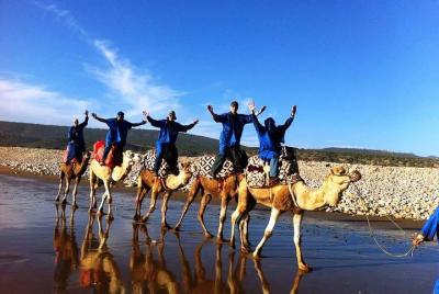 Agadir 03 hours camel riding with dinner - BBQ -  Agadir 03 hours camel riding with dinner - BBQ -