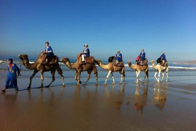 Camel Riding In Agadir  Camel Riding In Agadir