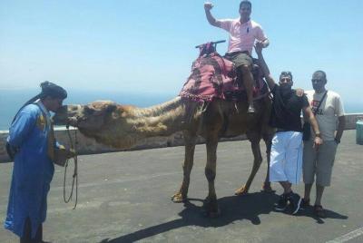 Agadir Camel Riding  Agadir Camel Riding