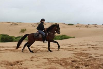 Horse Riding Agadir Horse Riding Agadir