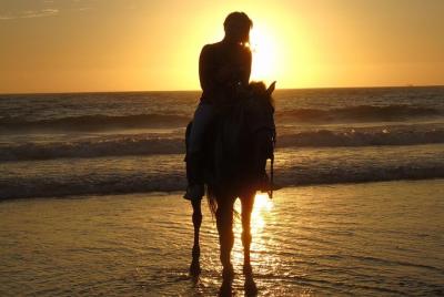 Horse Riding In Agadir  Horse Riding In Agadir