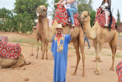 Agadir Camel riding with Hotel Transfers  Agadir Camel riding with Hotel Transfers
