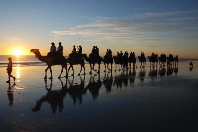 Sunset Camel Ride in Agadir With Transfers Sunset Camel Ride in Agadir With Transfers