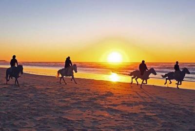 Sunset Horseback Riding in Banana Beach Sunset Horseback Riding in Banana Beach