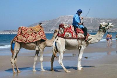 Agadir Camel Ride - 2 Hours Agadir Camel Ride - 2 Hours