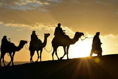 Private Camel Ride Sunset Experience in Agadir with Dinner Private Camel Ride Sunset Experience in Agadir with Dinner