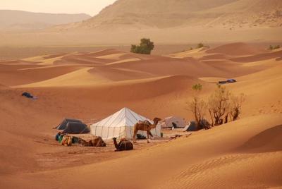 Agadir / Zagora Tour 2 days 1 night in nomadic tents Agadir / Zagora Tour 2 days 1 night in nomadic tents