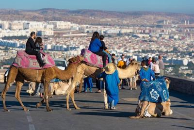 Agadir wonderful parts Discovery & Camel Riding