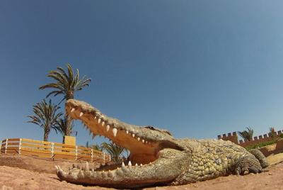 Crocoparc Agadir Trip Including Passes & Entrance Fee