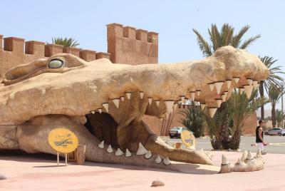 Croco Tour: Transfer to crocoparc Agadir (tickets included) Croco Tour: Transfer to crocoparc Agadir (tickets included)