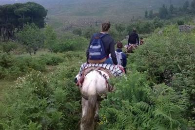 Excursion with mules in the natural Park Excursion with mules in the natural Park