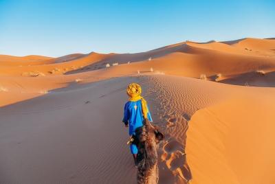 5-Day Private Tour to Merzouga and Marrakech from Chefchaouen 5-Day Private Tour to Merzouga and Marrakech from Chefchaouen