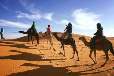 3 day Tour from Chefchaouen: Morocco Adventure Tour to Desert and Marrakech 3 day Tour from Chefchaouen: Morocco Adventure Tour to Desert and Marrakech