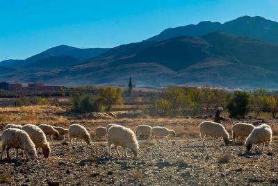 Atlas Mountains Horseback Ride & 3 Valleys Tour Day Trip From Marrakech Atlas Mountains Horseback Ride & 3 Valleys Tour Day Trip From Marrakech