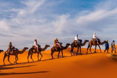 Sightseeingss in Merzouga Things to do in Merzouga 498008106