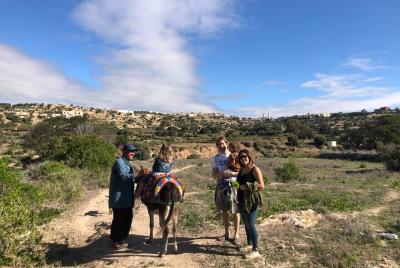 Walk with the donkey & Lunch at a Berber Family Walk with the donkey & Lunch at a Berber Family's Home.