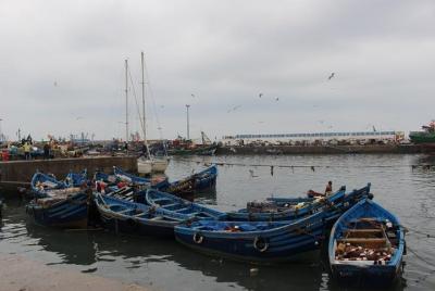 Day trip from Marrakech to Essaouira Day trip from Marrakech to Essaouira
